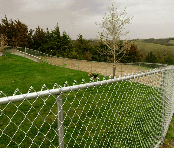 GI-Residential-ChainLink_25_d89012e9-91ec-4ce6-a65e-9f32b2b8968f_1024x1024 (1)